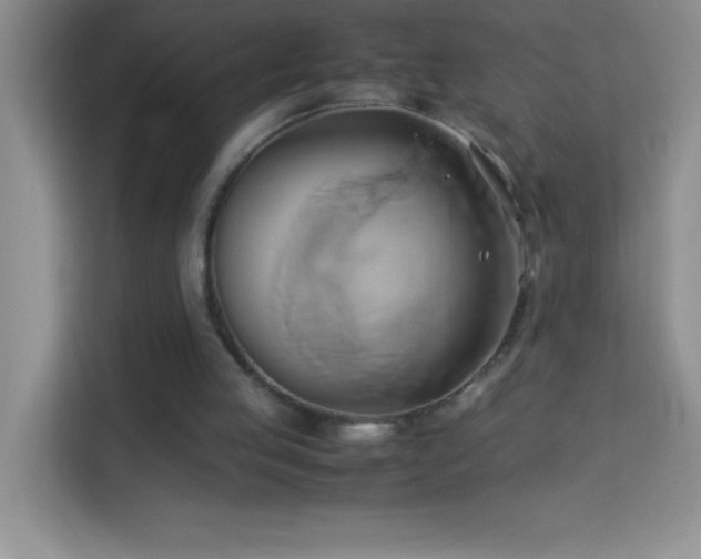 X0000114150053200910081341