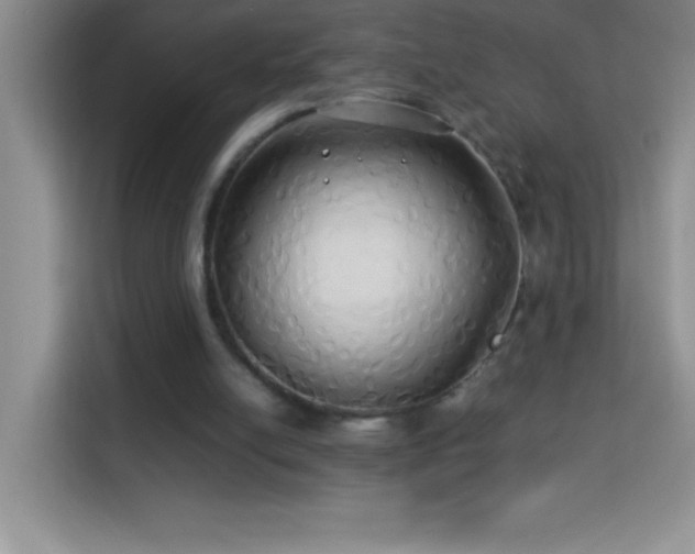 X0000114150054200910081341