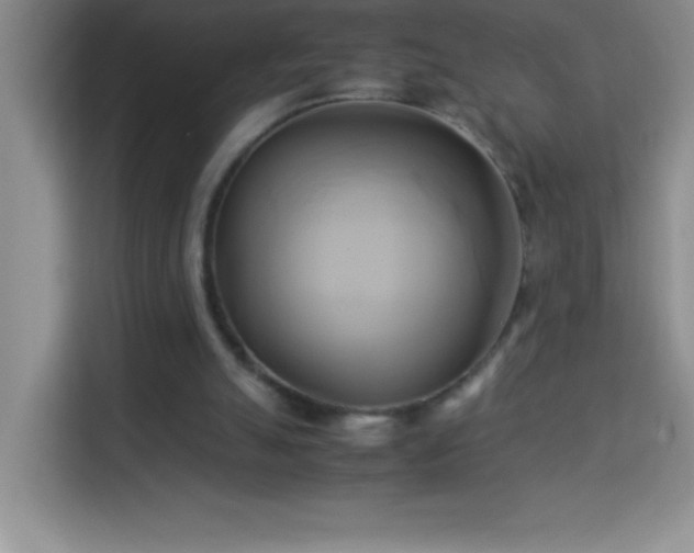 X0000114150055200910081341