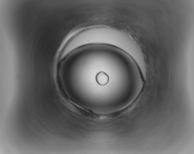 X0000114150056200910081341