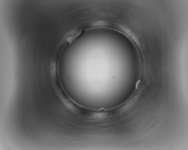 X0000114150057200910081341
