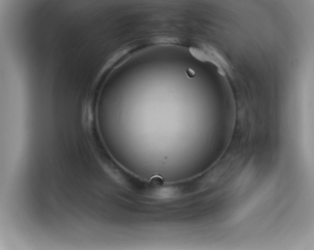 X0000114150059200910081341