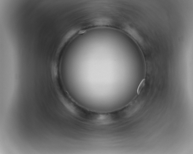 X0000114150060200910081341