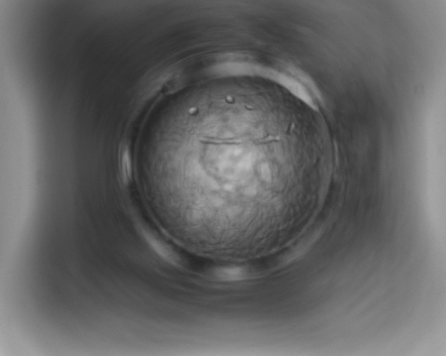 X0000114150061200910081341