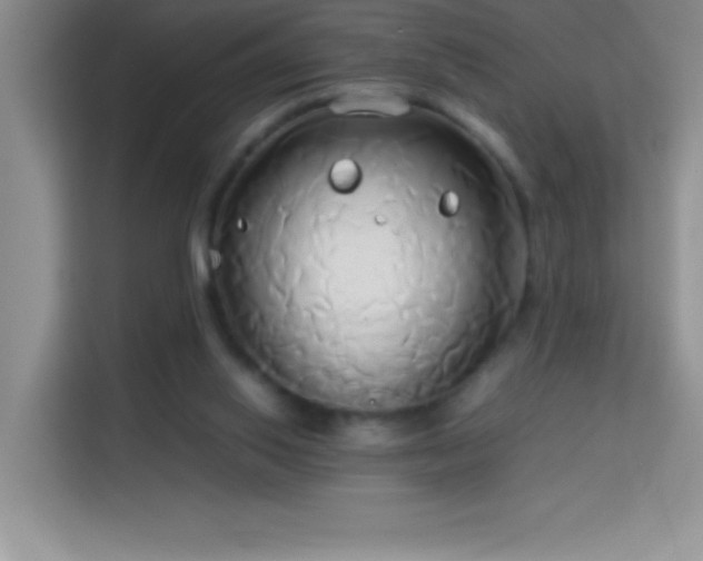 X0000114150062200910081341