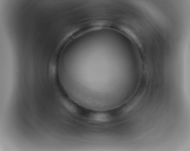 X0000114150063200910081341