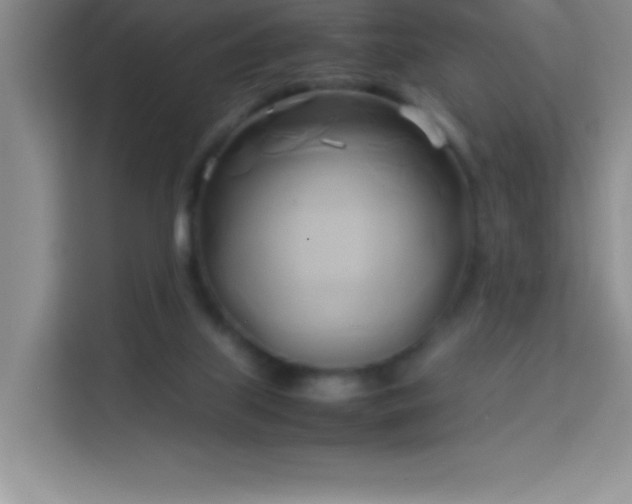 X0000114150067200910081341