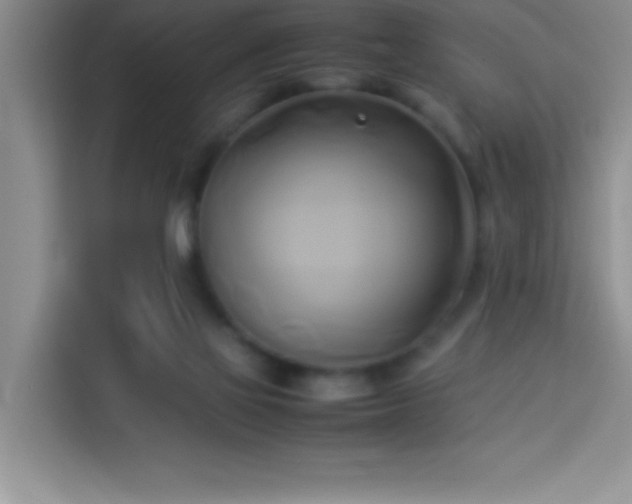 X0000114150069200910081341