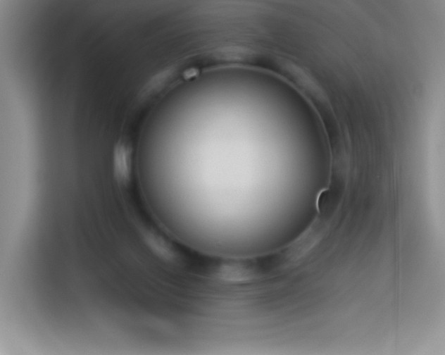 X0000114150070200910081341