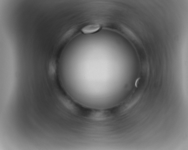 X0000114150072200910081341