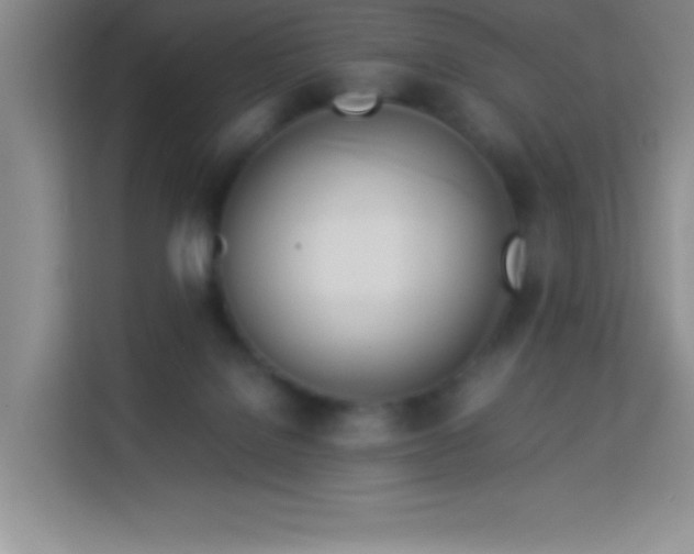 X0000114150076200910081341