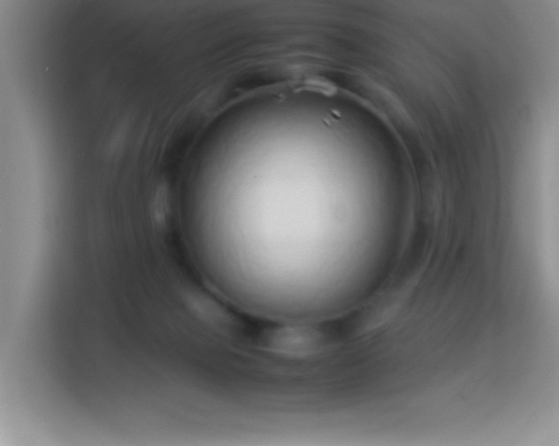 X0000114150077200910081341