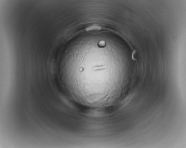 X0000114150078200910081341