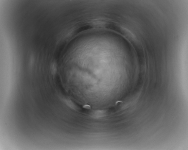 X0000114150081200910081341