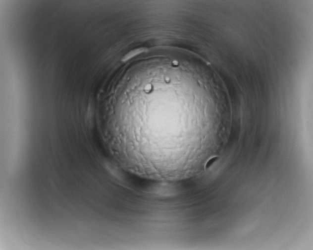 X0000114150082200910081341