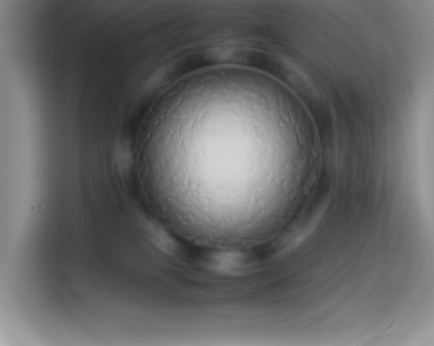 X0000114150085200910081341