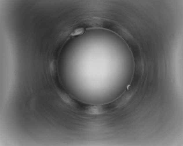X0000114150088200910081341