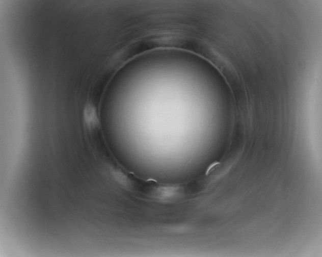 X0000114150089200910081341
