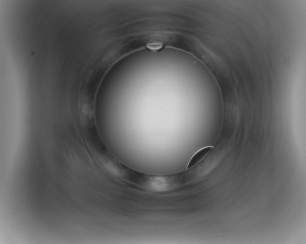 X0000114150091200910081341
