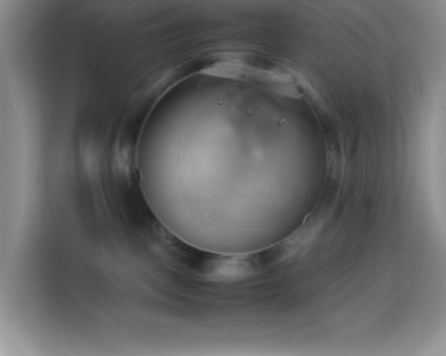 X0000114150093200910081341