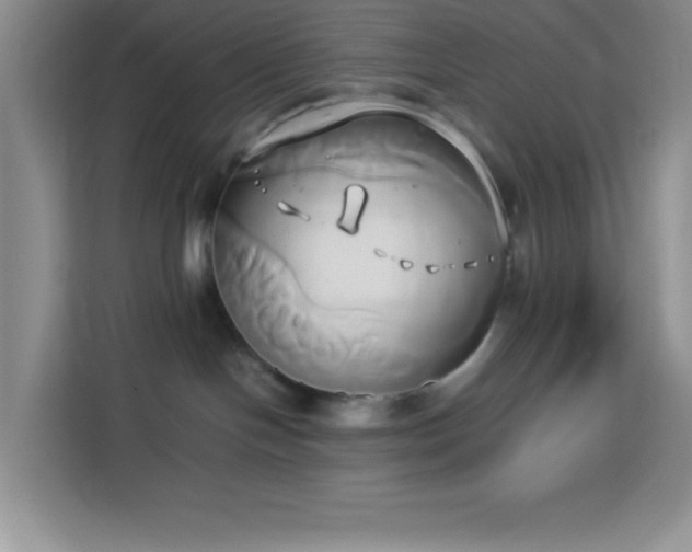 X0000114150094200910081341