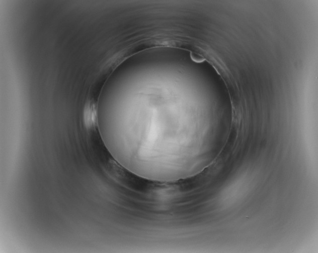 X0000114150095200910081341