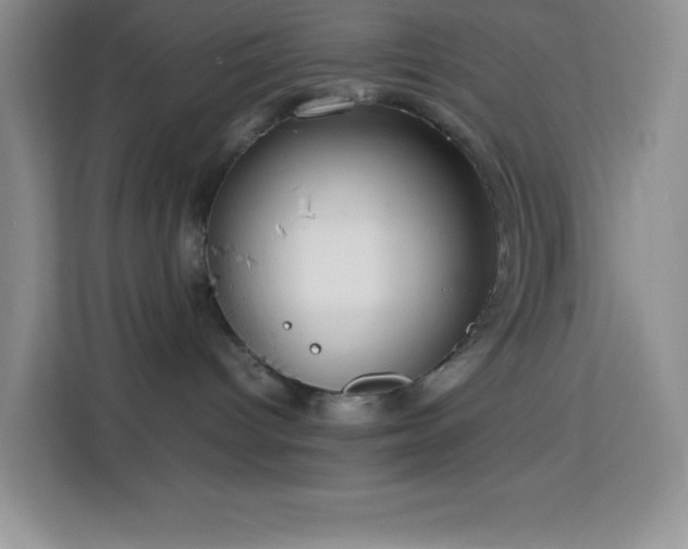 X0000114150096200910081341