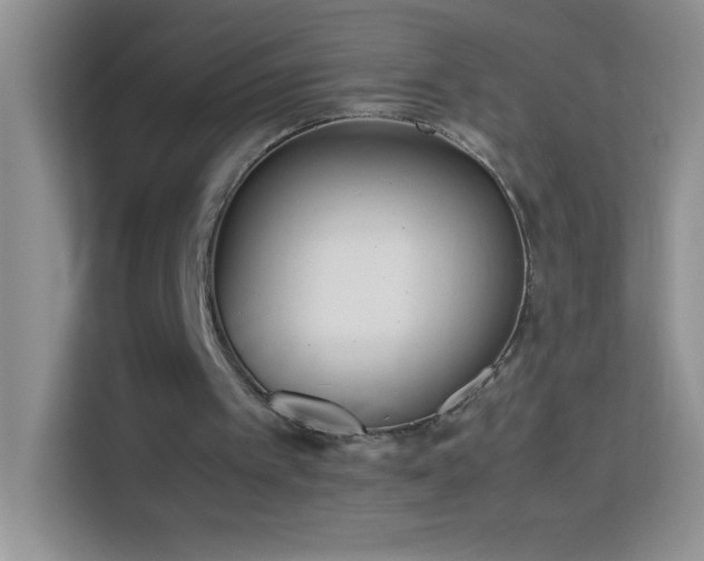 X0000114150097200910081341