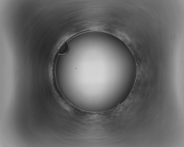 X0000114150098200910081341