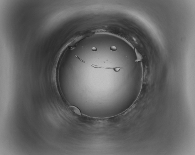 X0000114150099200910081341