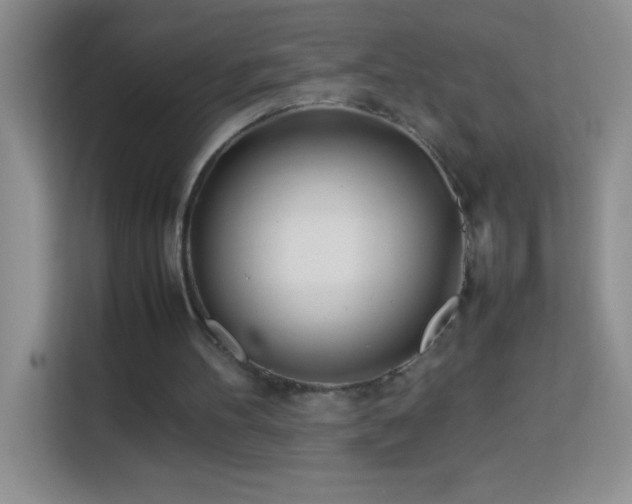 X0000114150100200910081341