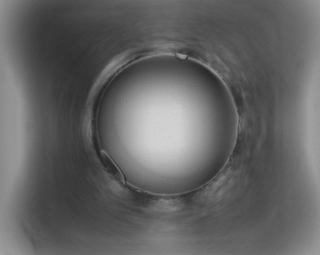 X0000114150101200910081341