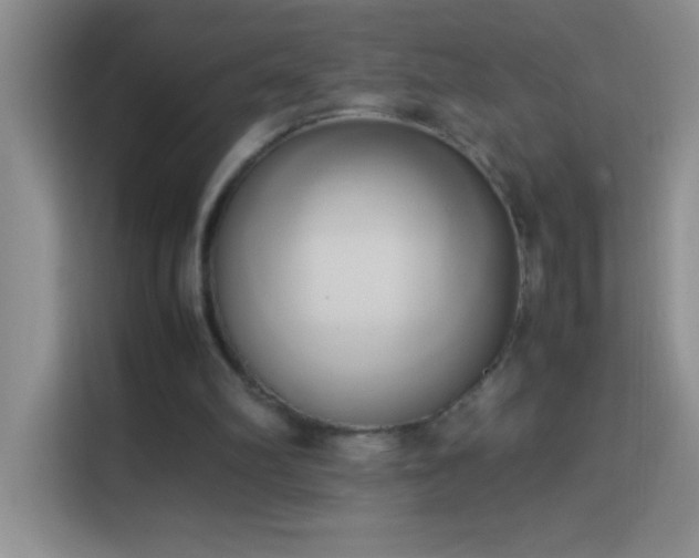 X0000114150102200910081341