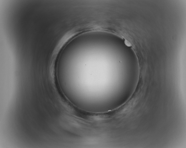 X0000114150103200910081341