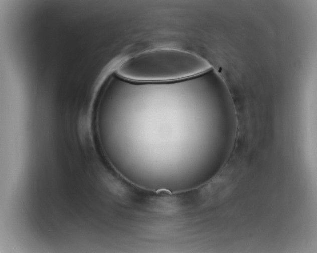 X0000114150104200910081341