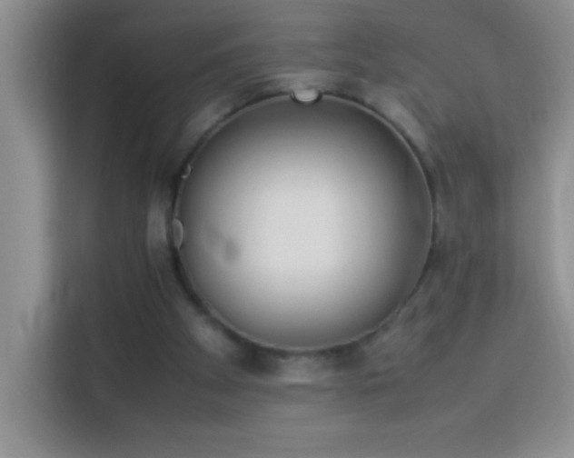 X0000114150105200910081341