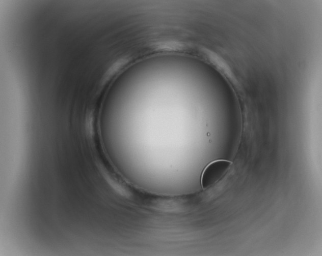 X0000114150106200910081341