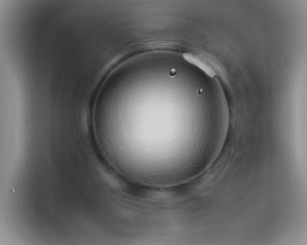 X0000114150107200910081341
