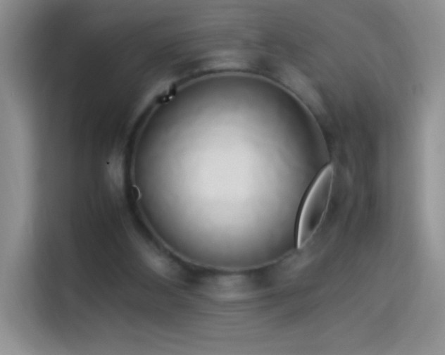 X0000114150108200910081341