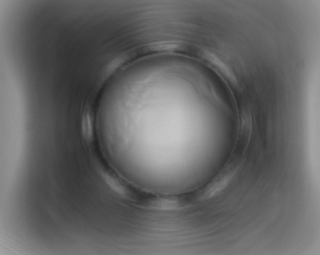 X0000114150110200910081341