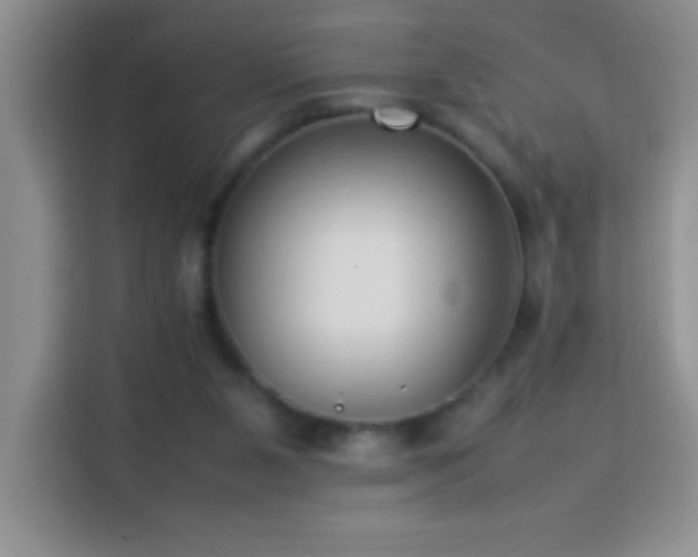 X0000114150111200910081341