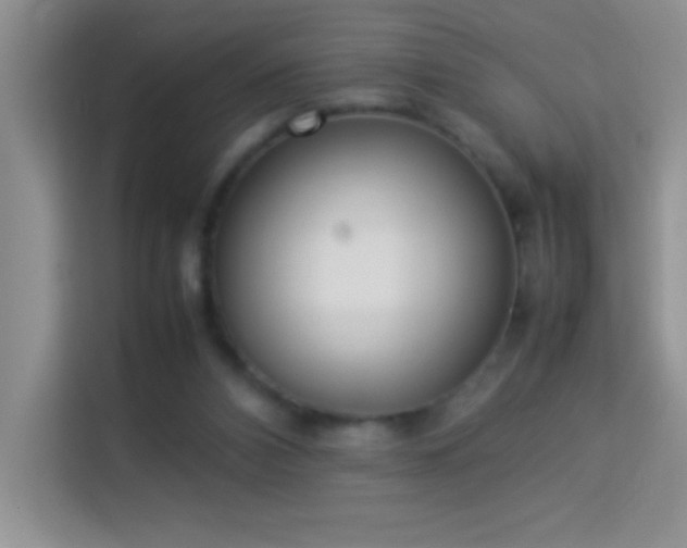 X0000114150112200910081341