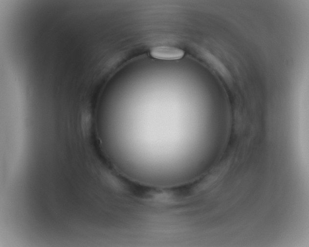 X0000114150113200910081341