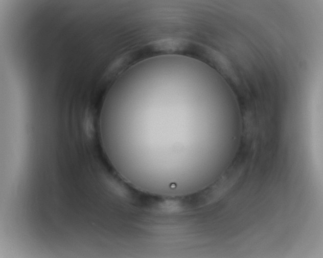 X0000114150114200910081341
