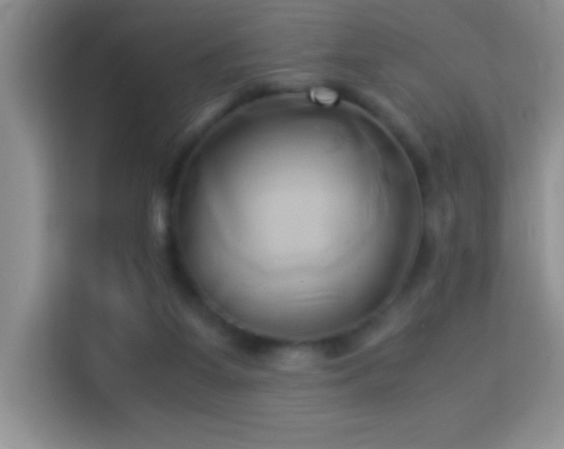 X0000114150115200910081341