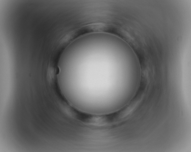 X0000114150117200910081341
