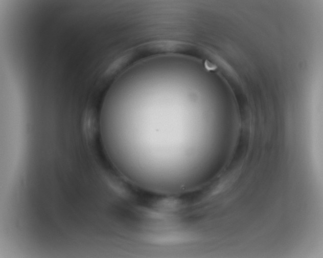 X0000114150119200910081341