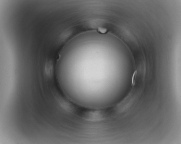 X0000114150120200910081340