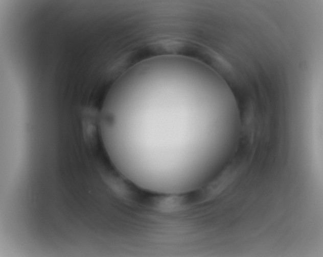 X0000114150122200910081340