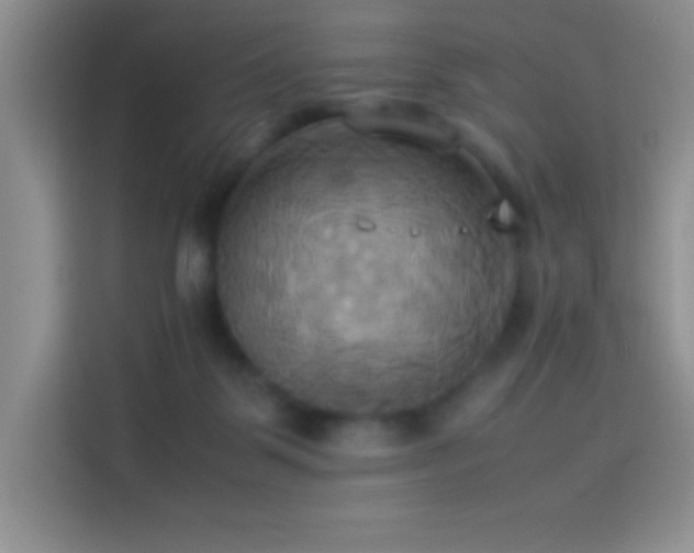 X0000114150123200910081340